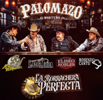 PALOMAZO NORTEÑO