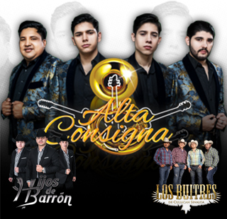 ALTA CONSIGNA